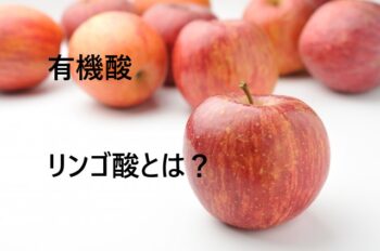 有機酸のリンゴ酸