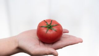 活性酸素を抑制するトマト