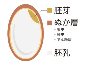 米の成分詳細図