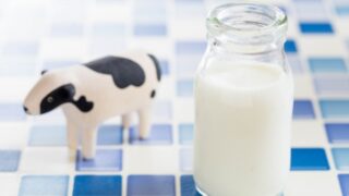 牛乳から取れるホエイプロテイン